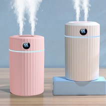 뉴이즈 듀얼 스마트 습도 온도 액정 가습기 2L, 흰색
