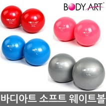 바디아트 소프트 웨이트볼 KY-15 2kg 2개 1세트 블루, (블루-1kgx2ea)