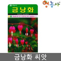 금낭화 씨앗 20립 다년생식물, 단품