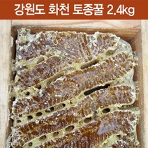 강원도 화천 토종꿀 2.4kg (강원도 화천) 1년에 딱한번 채밀하는 진짜 토종꿀