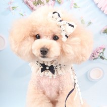 팝앤퍼피 셔링레이스케이프, L, 네이비