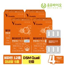 온유바이오 멀티비타민 앤 미네랄 판토텐산 액티브 30정x4박스, 없음