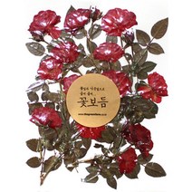 그린팜네이처 꽃보듬 압화-장미, 장미이파리