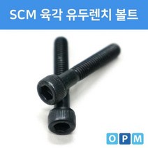 SCM 육각 렌치 볼트 M8x200 (1개)
