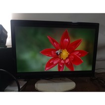 19인치 와이드형 LCD 모니터