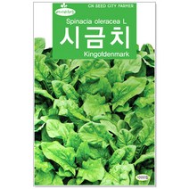 베이비 시금치씨앗 1000립 베이비채소씨앗 (C0201)