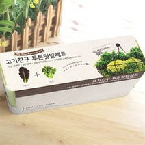 꿈쟁이 고기친구 투톤 텃밭세트, 상추, 적겨자