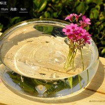 O.RoseLif 투명 flatworm 꽃병 Decorativos 웨딩 장식 라운드 공기 식물 테라리움 Handblown 장식 유리 꽃, 한개옵션0
