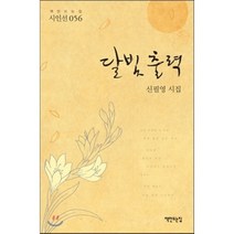 달빛 출력:신필영 시집, 책만드는집, 신필영 저