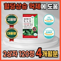 식약처 인증 당뇨에좋은 당뇨 초기증상 예방 식후 혈당 혈행 조절 관리 개선 제 상승 억제 건강 수치 에좋은 영양제 약 2개월분 고함량 대용량 당질컷팅제 효과빠른 바나바잎 홈쇼핑, 2상자 120정 4개월분_사은품 패치