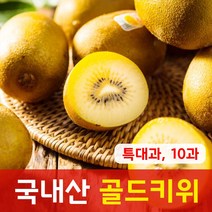 매일 하나씩 새콤달콤 맛있는 국내산(제주도) 골드키위, 국내산 골드키위 특대과, 10과