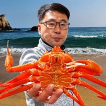속초& 후포 일반형 홍게 3kg(7~11미) 가성비 갑 / 고급형_프리미엄형_박달형_연지홍게 선택가능 붉은대게 대게, 02. 생물 고급형 3kg(7~10미)