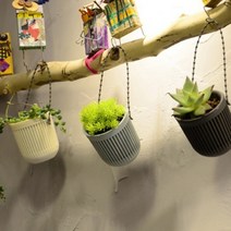 테이블 공중식물 화분스텐드 식탁행잉걸이 벽걸이 베란다 홈까페 힐링인테리어 실내정원, 아이보리