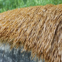 볏짚 동남아 인테리어 플라스틱 초가 지붕 인조 볏집 유기 초가 50cmX50cm 10세트, G누렇게시든볏짚