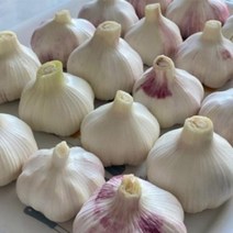 단단한 서산 육쪽마늘 대 3kg 신선 안전한먹거리 싱싱, 서산 황토밭 대서마늘 대 3kg