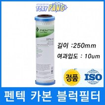 펜텍 EPM-10 카본 블럭 필터 250mm 10um