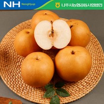[나주농협 APC] 가정용 농협 나주배 추황배 5kg (6-11과), 단품