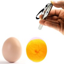 인큐베이터 eggtester egg candling lamp led super cold equipment incubator tool, 한개옵션0
