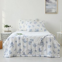 모던하우스 비엔토 인견 아사 워싱 이불 S_CV0222057