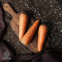 싱싱한 제주 구좌 흙당근 5kg (상/중/주스용), 단품