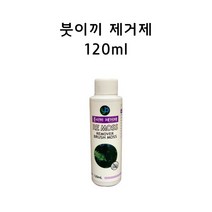 영아쿠아 YB 붓이끼 제거제 120ml
