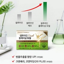 셀루라인 플래티넘 듀얼 하체 부종 붓기 완화 혈행 개선 케어 600mg X 60정, 4박스_240정(4개월분)