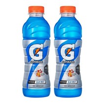 게토레이 블루볼트 600ml x 18개 펫 이온음료, 1개