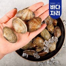 당일어획 남해안 다이버 자연산 바지락, 1kg(왕), 1개