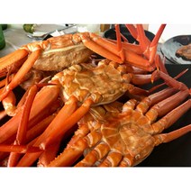 우리푸드 포항 구룡포 후포 연지홍게 붉은대게 자숙, [수율 80% 이상]붉은대게 소 사이즈, 5미