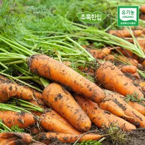 유기농샵 [초록한입] 국내산 유기농 당근 2kg, 단품없음