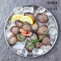 당일조업 남해안 피조개 피꼬막 꼬막, 3kg, 1개