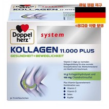 최신정품 독일직구 도펠헤르츠 콜라겐 11000 플러스 30병 Doppelherz Kollagen +휴대용약통 별도증정