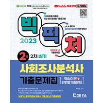2023 빅픽처 사회조사분석사 2급 실기 기출문제집, 최지민(저),서울고시각(SG P&E), 서울고시각(SG P&E)