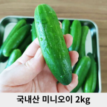국산 러스 보이 미니 오이 스낵 오이 2kg 싱싱한 작은 피클 오이지 생식 다이어트 꼬마 오이 작은 오이 생식