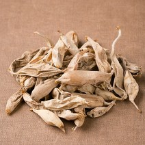 국산 천문동 100g 국내산 한약재 한방 약초, 1개
