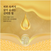 (탄력 보습 진정) 에센셜 캐비어 마스크팩 10장