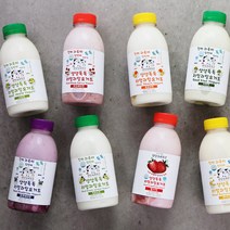 사그담 평창보배목장 리얼과일 요거트 모음, 망고맛 요거트 500ml