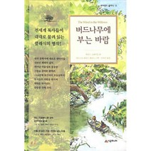 버드나무에 부는 바람 (네버랜드 클래식 13), 시공주니어
