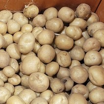 감자 왕왕 왕특 상 조림 20kg 10kg 5kg 국내산 백산상회, 조림(알감자)