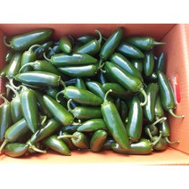 퍼팩트 할라피뇨 아삭이고추 10kg, 1개