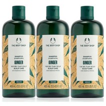 더바디샵 진저 샴푸 대용량 한정 샴푸2+1