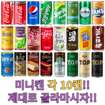 음료수 캔음료 각10캔 골라담기 /탄산음료/과채/과즙/착즙/업소용/소캔/미니캔/콜라, 선택17. 레쓰비(업소용)175ml 10캔