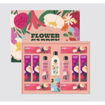 [애경 선물세트] 종합 셀렉션 E-1호 x6개 (1BOX), 5세트