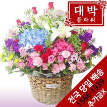 대박플라워 수국혼합 꽃바구니 생일선물 기념일 출산꽃선물 병문안 꽃배달