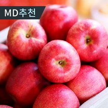 [당일수확] 햇 빨간사과 가정용 고당도 꿀사과 홍로 부사 사과, 1박스, 3kg 중소과(13-14과)