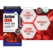 비헴철 철분제 체내 산소운반 혈액생성 에너지 생성에 필요한 철분 영양제 캐나다 100캡슐 대용량, 2통