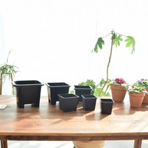 PP플라스틱 사각 모종 포트 화분 PS5 18x15cm