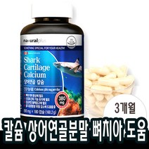 상어연골 콘드로이친 고관절에좋은 칼슘 뼈건강 치아 영양제 칼슘제 약 3개월분, 1개