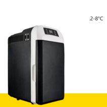 인슐린 냉장고 소형 약품 시약 주사 보관 케이스 10L, 10L 블랙(차량 가정 겸용)