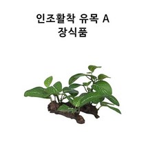 영아쿠아 영아쿠아 인조 활착 유목 A 타입